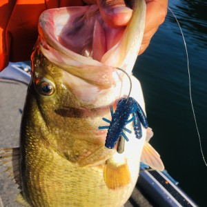 hideup 永野総一朗 ブログ写真 2020/10/21