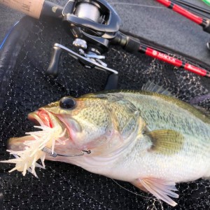 hideup 永野総一朗 ブログ写真 2020/10/24