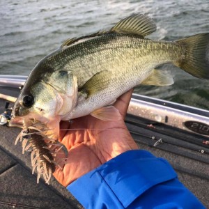 hideup 永野総一朗 ブログ写真 2020/10/24