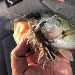 hideup 永野総一朗 ブログ写真 2020/10/24