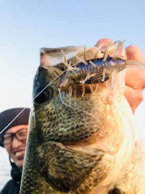 hideup 永野総一朗 ブログ写真 2020/10/25