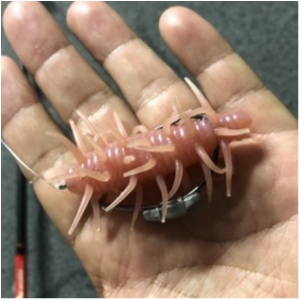 hideup 永野総一朗 ブログ写真 2020/10/27