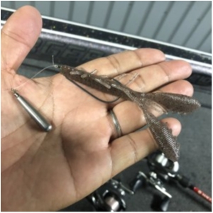 hideup 永野総一朗 ブログ写真 2020/10/27