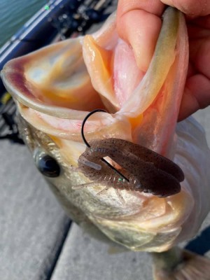 hideup 永野総一朗 ブログ写真 2020/10/31