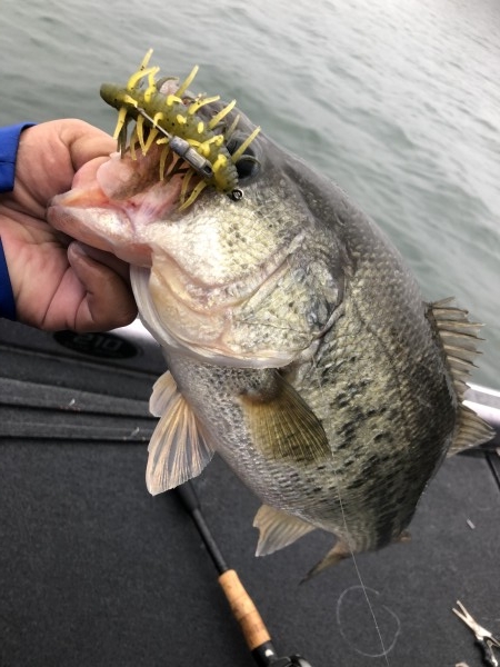 hideup 永野総一朗 ブログ写真 2020/11/03