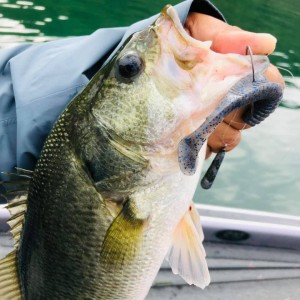 hideup 永野総一朗 ブログ写真 2020/11/08