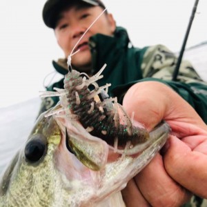 hideup 永野総一朗 ブログ写真 2020/11/08