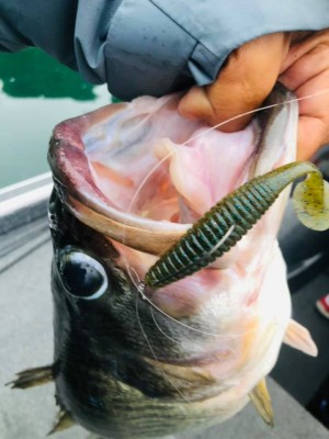 hideup 永野総一朗 ブログ写真 2020/11/08