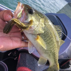 hideup 永野総一朗 ブログ写真 2020/11/08