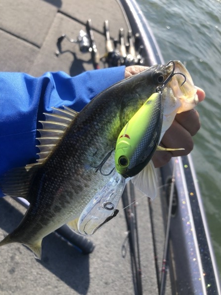 hideup 永野総一朗 ブログ写真 2020/11/11