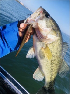 hideup 永野総一朗 ブログ写真 2020/11/14