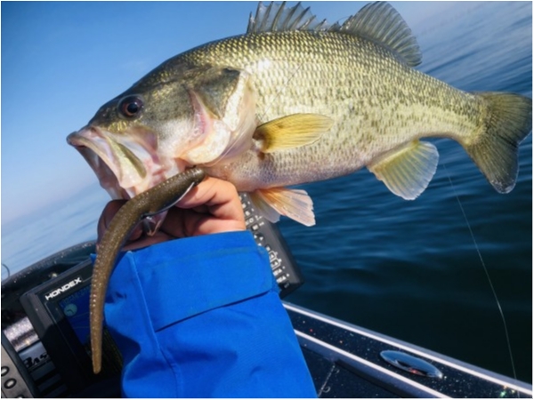 hideup 永野総一朗 ブログ写真 2020/11/14