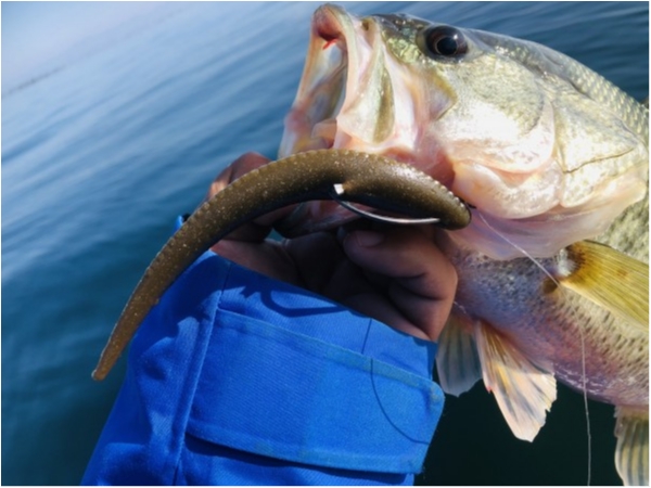 hideup 永野総一朗 ブログ写真 2020/11/14