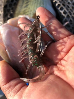 hideup 永野総一朗 ブログ写真 2020/11/15