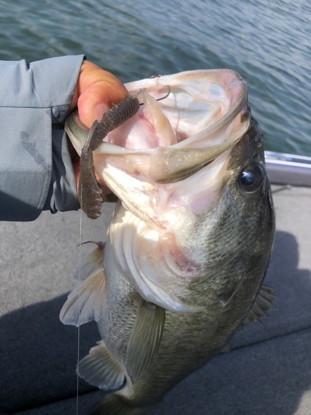 hideup 永野総一朗 ブログ写真 2020/11/16