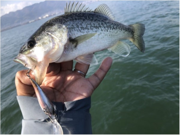 hideup 永野総一朗 ブログ写真 2020/11/16