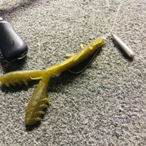 hideup 永野総一朗 ブログ写真 2020/11/19