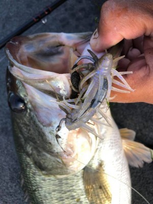 hideup 永野総一朗 ブログ写真 2020/11/19