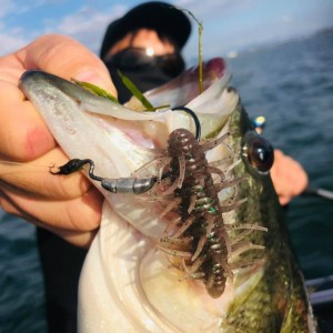 hideup 永野総一朗 ブログ写真 2020/11/19