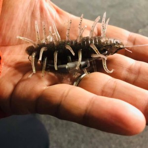 hideup 永野総一朗 ブログ写真 2020/11/19