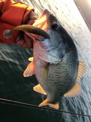 hideup 永野総一朗 ブログ写真 2020/11/19