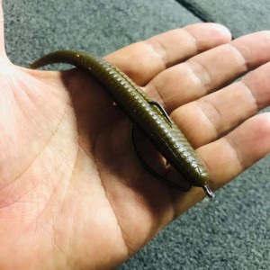 hideup 永野総一朗 ブログ写真 2020/11/19