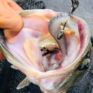 hideup 永野総一朗 ブログ写真 2020/11/21