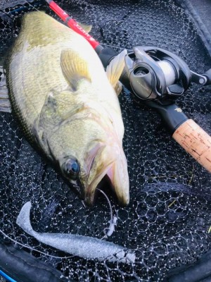 hideup 永野総一朗 ブログ写真 2020/11/21