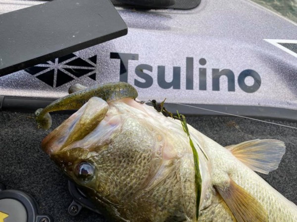 hideup 永野総一朗 ブログ写真 2020/11/21