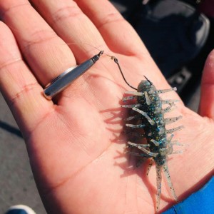 hideup 永野総一朗 ブログ写真 2020/11/29