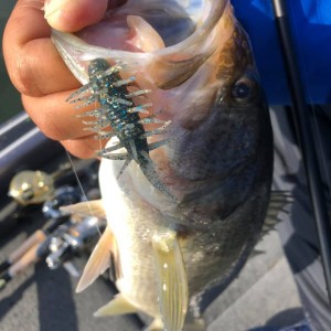 hideup 永野総一朗 ブログ写真 2020/11/29