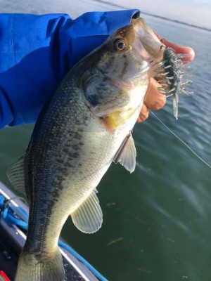 hideup 永野総一朗 ブログ写真 2020/11/29