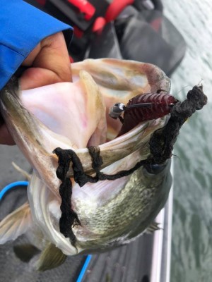 hideup 永野総一朗 ブログ写真 2020/11/29