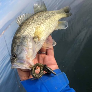 hideup 永野総一朗 ブログ写真 2020/11/29