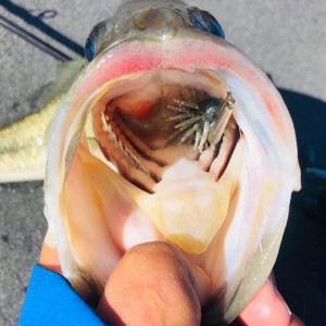 hideup 永野総一朗 ブログ写真 2020/11/30