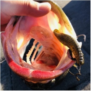 hideup 永野総一朗 ブログ写真 2020/12/07