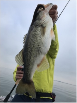 hideup 永野総一朗 ブログ写真 2020/12/10