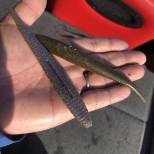 hideup 永野総一朗 ブログ写真 2020/12/10