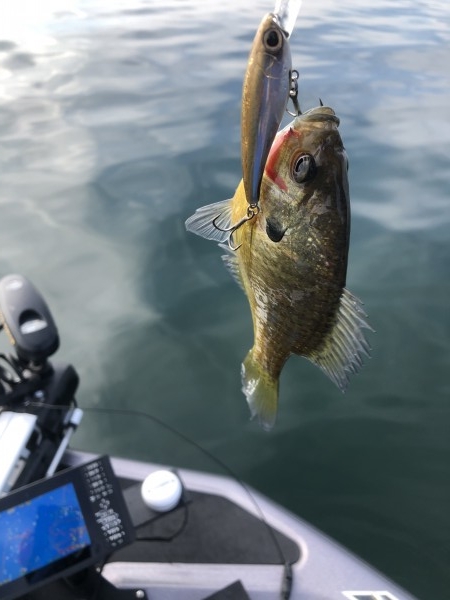 hideup 永野総一朗 ブログ写真 2020/12/10