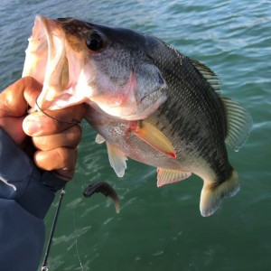 hideup 永野総一朗 ブログ写真 2020/12/13