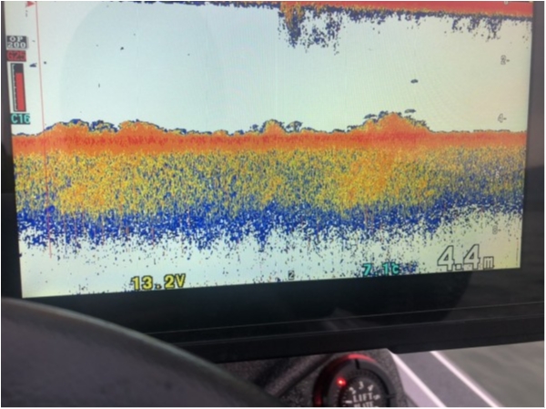 hideup 永野総一朗 ブログ写真 2021/02/02