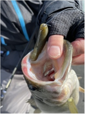 hideup 永野総一朗 ブログ写真 2021/02/09