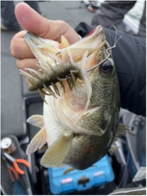 hideup 永野総一朗 ブログ写真 2021/02/09