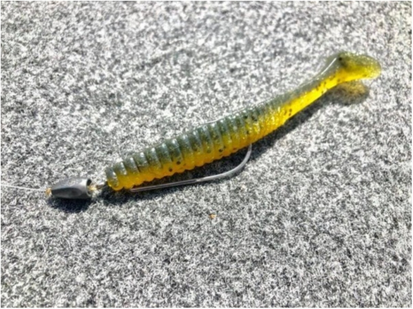 hideup 永野総一朗 ブログ写真 2021/02/13