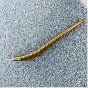 hideup 永野総一朗 ブログ写真 2021/02/18