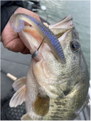 hideup 永野総一朗 ブログ写真 2021/02/25