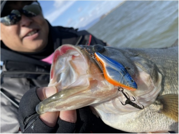 hideup 永野総一朗 ブログ写真 2021/02/25