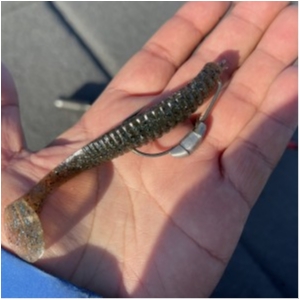 hideup 永野総一朗 ブログ写真 2021/02/25