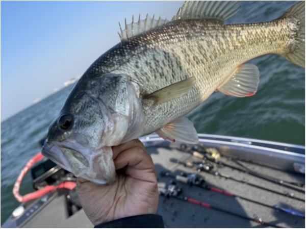 hideup 永野総一朗 ブログ写真 2021/02/25