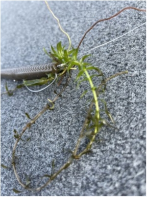 hideup 永野総一朗 ブログ写真 2021/02/25